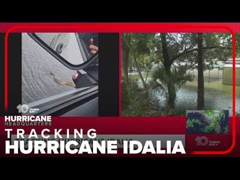 Snake seen in Florida floodwaters after Hurricane Idalia