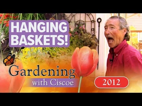 HANGING BASKETS! Tips to Lift Your Plants Up! | Gardening With Ciscoe | Full Episode