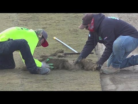 New sod installed at Snapdragon Stadium