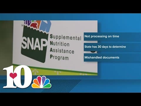 Tennessee faces lawsuit over delays in processing SNAP benefits