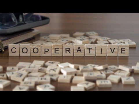 How Cooperatives support the DMV community