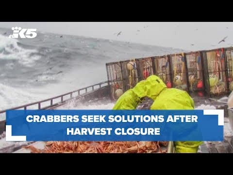Crabbers seek solutions as they feel pinch of harvest closure