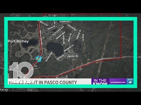 Rabies alert issued in Pasco County after cat tests positive
