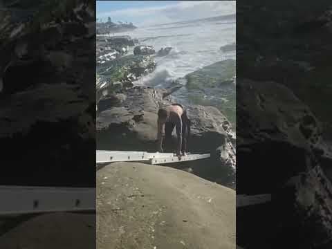 Surfer rescued with ladder at San Diego’s Windansea Beach after currents swept him into rocks.