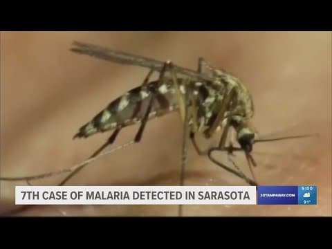 7th official case of malaria confirmed in Sarasota