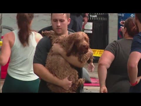 Remembering the deadly flooding at District Dogs one year later