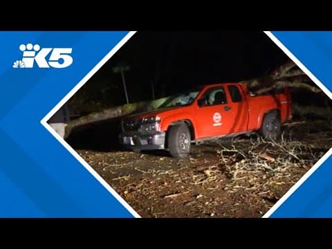 SBA to help residents, businesses after deadly bomb cyclone devastates Washington