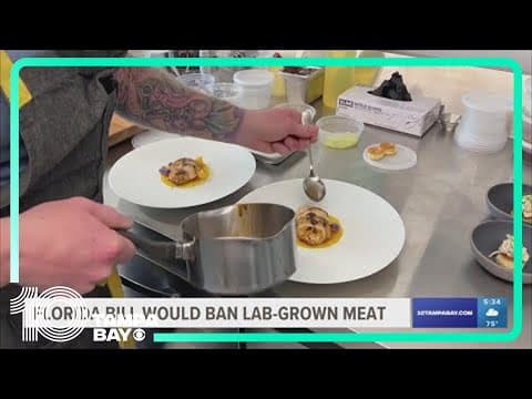 Florida bill would ban lab-grown meat