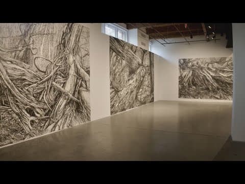 From The Storms Of Our Souls| New art exhibit at the Contemporary Art Center in New Orleans