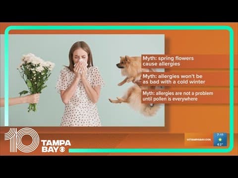 Busting spring allergy myths
