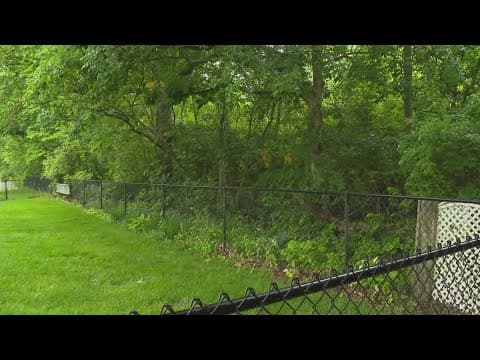 Neighbors push to save south Indianapolis greenspace