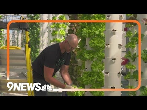 Downtown Denver farm feeds families, and a nonprofit's budget