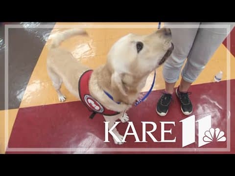 Can Do Canines raises money with dog costume contest