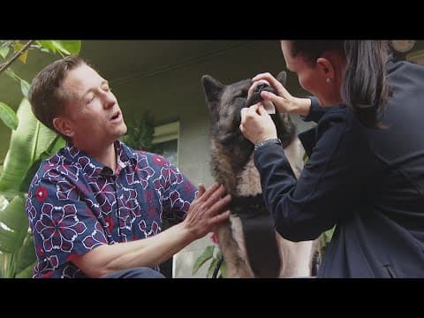 Can't afford to take your pet to a pricey vet? A new nonprofit wants to help