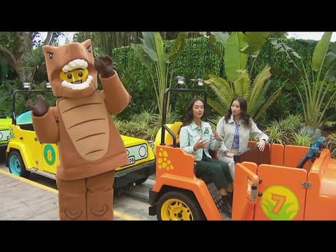 Live from LEGOLAND in Carlsbad | Discovering Dino Valley