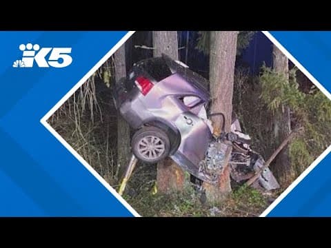 Driver arrested for DUI after crash near Olympia