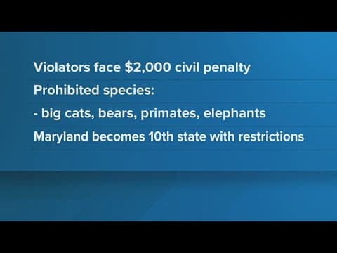 Maryland governor signs bill protecting exotic animals