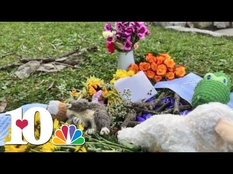 Prosecutors reviewing evidence after dog shot and killed in Nashville park