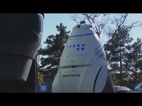 Some are outsourcing security guard labor to robots