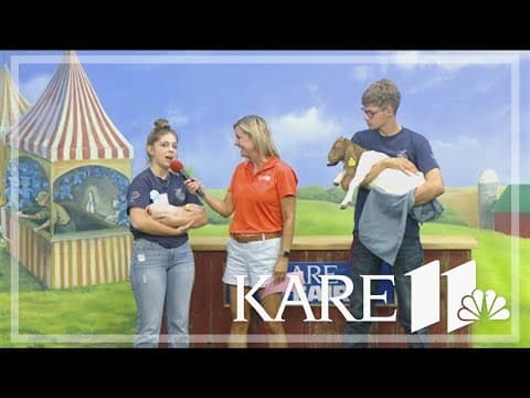 Baby animals stop by the KARE 11 Barn
