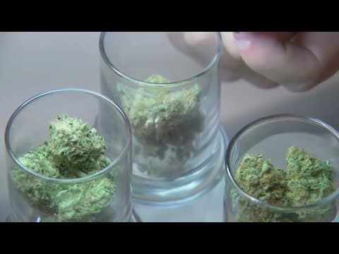 Some business owners seek clarity, others embrace the new legal status of marijuana in Ohio