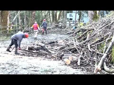 'Bomb cyclone' kills at least 2 and knocks out power in Pacific Northwest