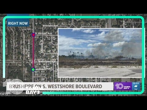 Wildfire burns on vacant South Tampa property