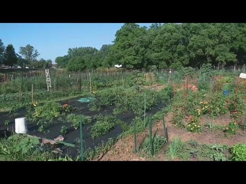 Climate change could lead to earlier or longer growing degree days