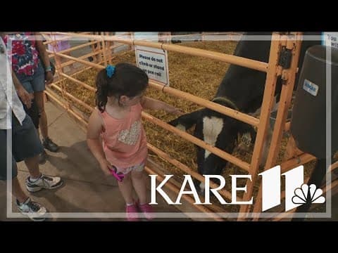 How animals are keeping cool during the Minnesota State Fair
