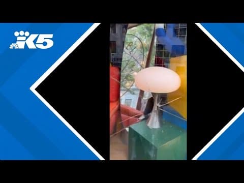 16 Tacoma businesses vandalized early Saturday morning, suspect in custody