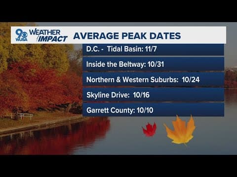 When to expect peak fall foliage around DC