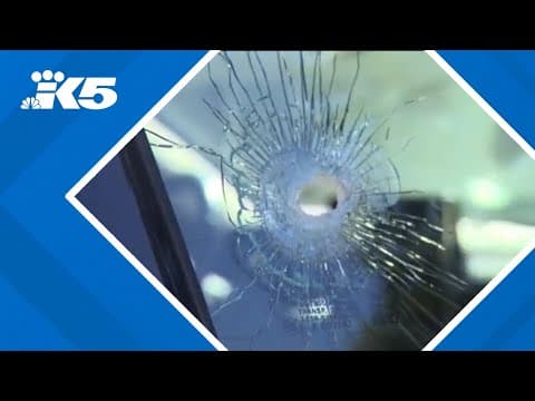 Driver recounts moments he realized car was shot on I-5