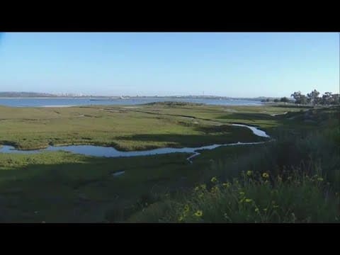 San Diego Planning Commission discusses the future of De Anza Cove