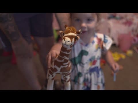 Video shows scary moments as a giraffe picked up a toddler