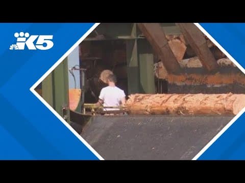 PNW logging leaders weigh in on Executive Order to increase federal logging