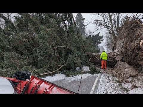 Watch Live: Freezing temps, power outages and downed trees strike across Oregon