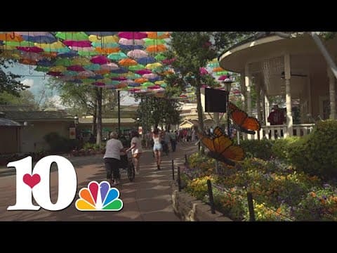 First day of Dollywood’s Flower and Food Festival