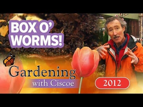 BOX O’ WORMS! Tips to Make Your Own Compost! | Gardening With Ciscoe | Full Episode