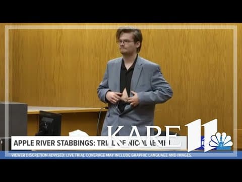 WATCH LIVE: Apple River Stabbings: Nicolae Miu Trial Day 2 (Afternoon session)