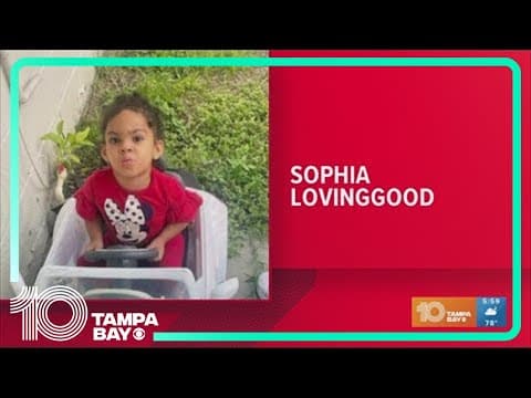 Missing, endangered Seffner 3-year-old found safe