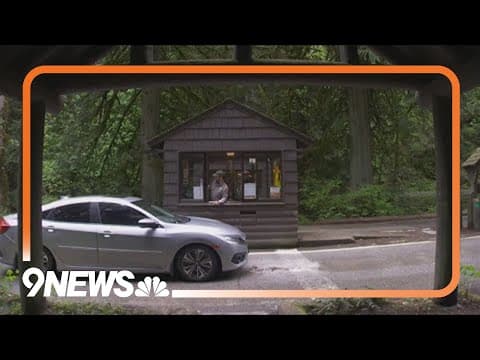 U.S. Forest Service layoffs leave major impact