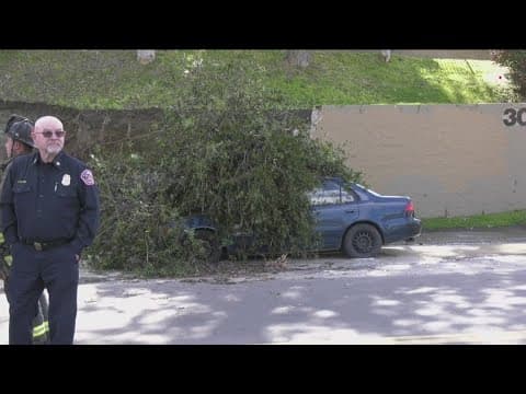 Hillside collapses in Vista; residents displaced and cars crushed