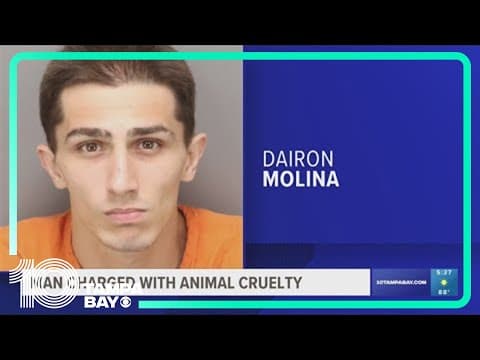 Detectives: Man used 'unjustifiable force' to break puppy's leg