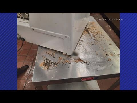 Southwest Columbus Kroger briefly shut down after mice, droppings found in store