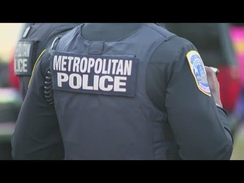 DC Council holds hearing on new Peace DC plan