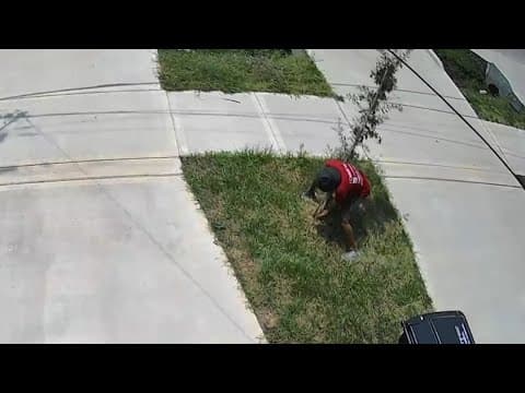 'Just stop stealing trees' | Neighbors fired up about bandit prying trees from the ground