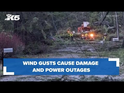Gusty winds cause damage, power outages around Puget Sound
