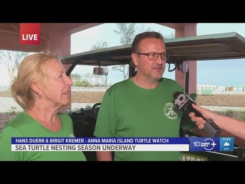 Sea turtle nesting season is underway on Anna Maria Island