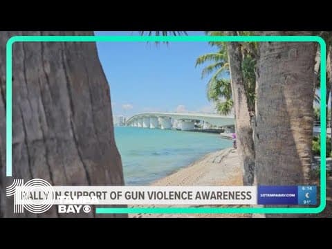 Sarasota demonstrators prepare to rally in support of gun violence awareness
