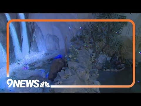 Immersive art experience encourages visitors to slow down